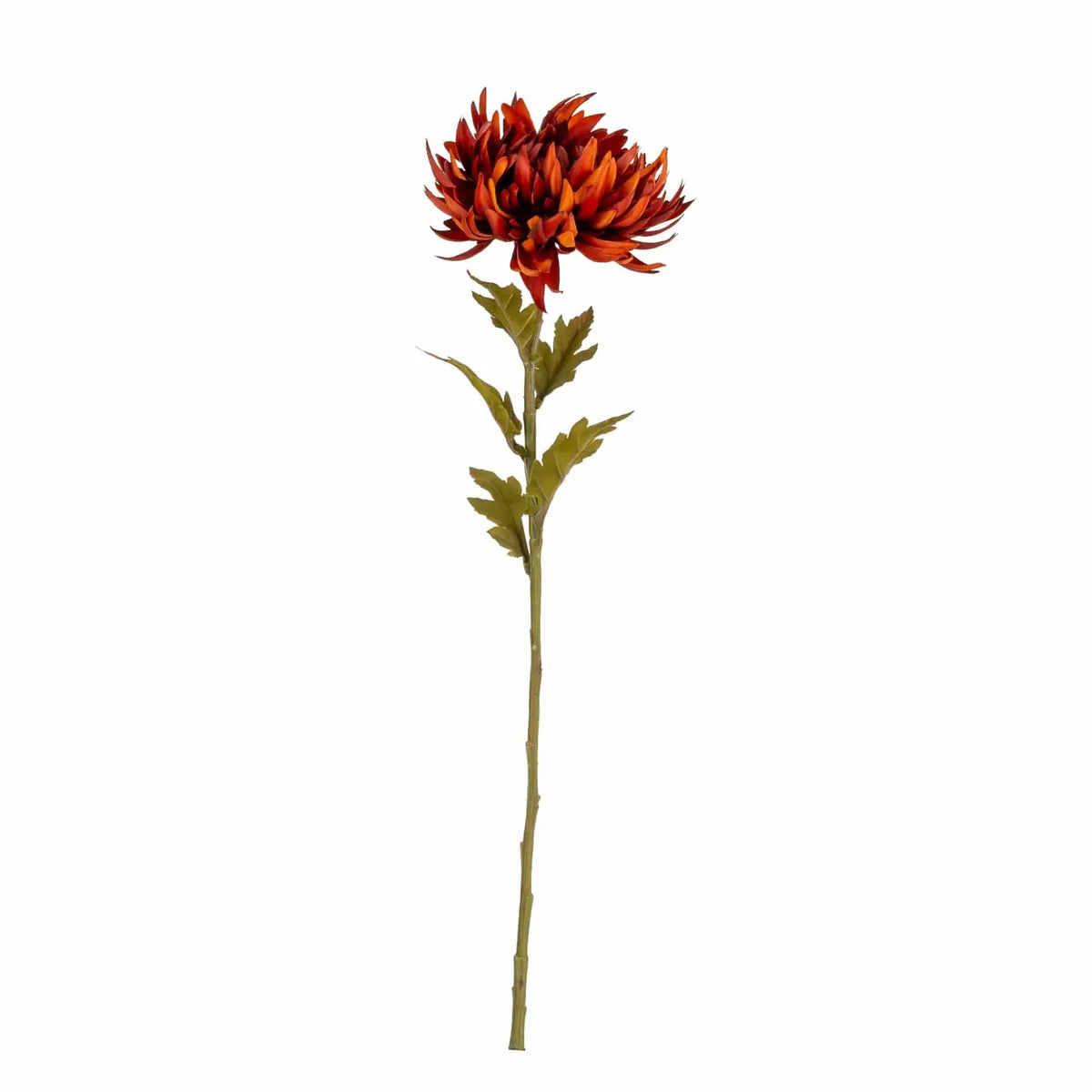 Single Chrysanthemum Stem - Burgundy