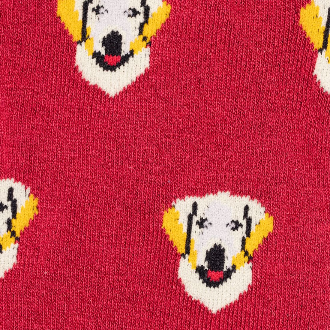 Retriever Bamboo Socks 4-7 UK