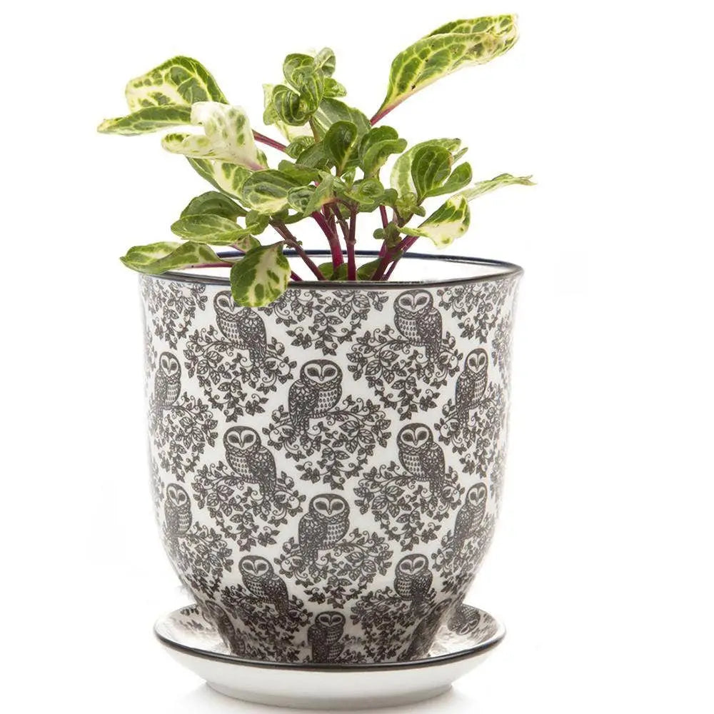 Liberte Porcelain Pot and Saucer with Drainage - Black Owls Ceramic - Small