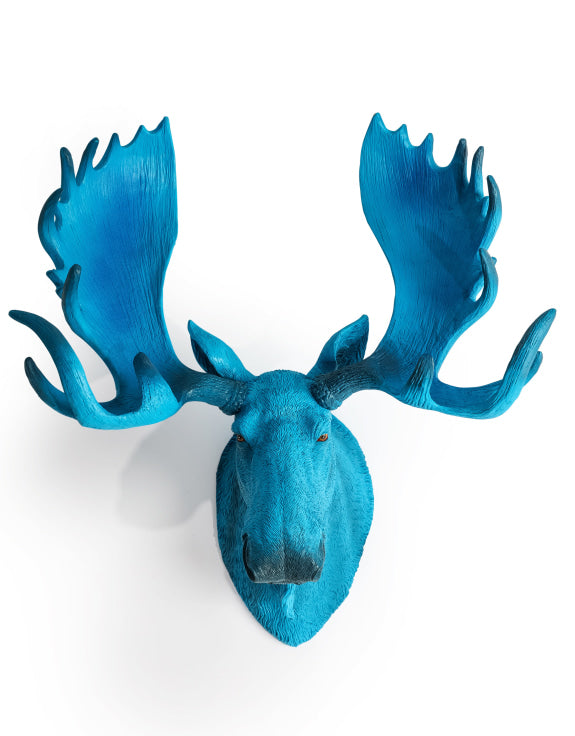 Electric Blue Moose Mounted Wall Head