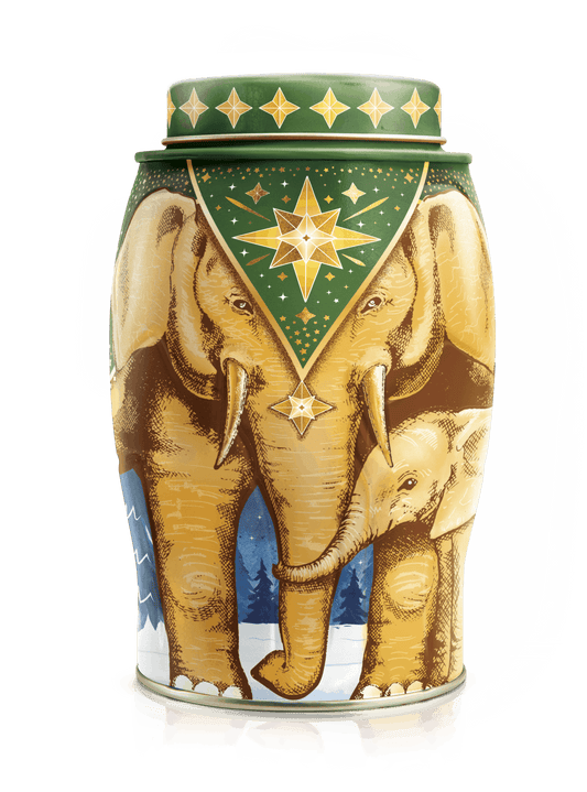 "Golden Star" Williamson Elephant Tea Caddy - 40 English Breakfast Teabags