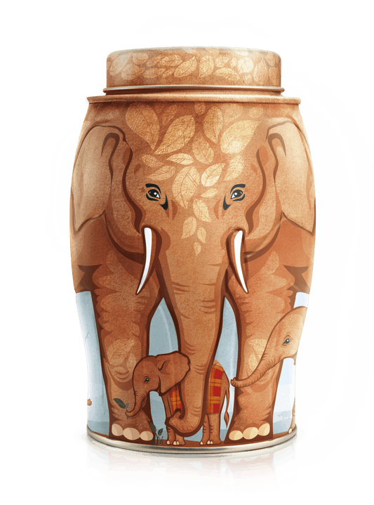 "Tsavo" Elephant Williamson Elephant Tea Caddy - 40 English Breakfast Teabags