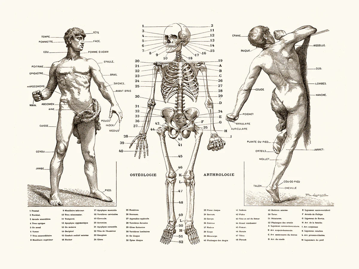 The Man 30 cm x 40 cm Print