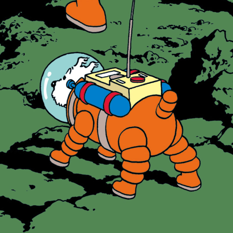 Tin Tin Book Cover Posters " On A Marche Sur La Lune "