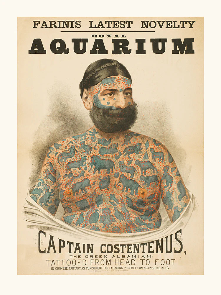 Captain Costantenus Poster
