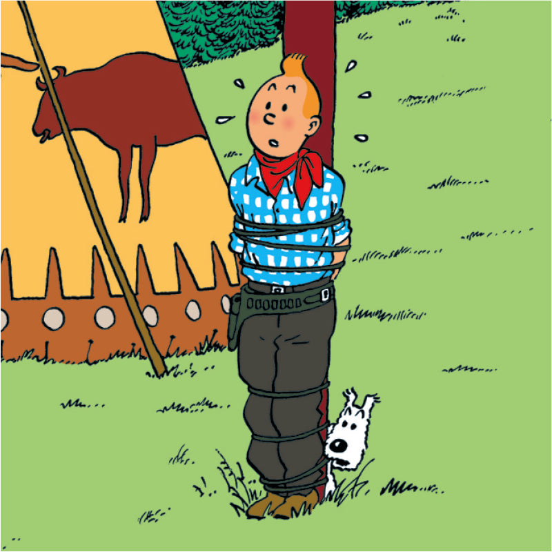 Tin Tin Book Cover Posters " En Amerique "2
