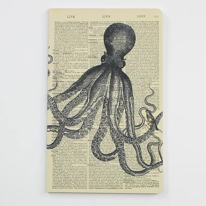 Octopus Notebook