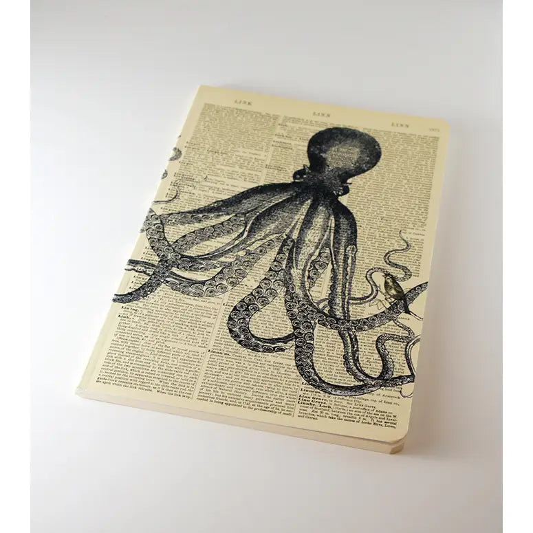 Octopus Notebook