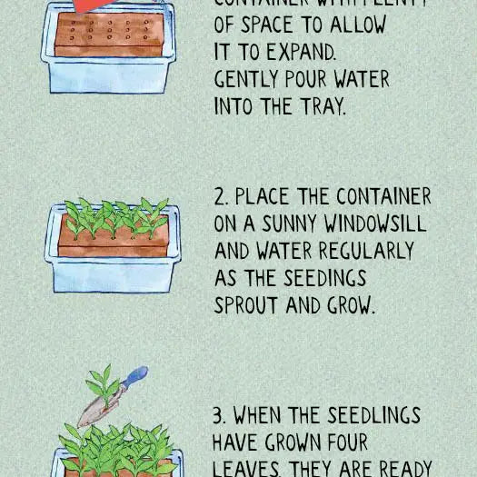 The Butterfly Growbar