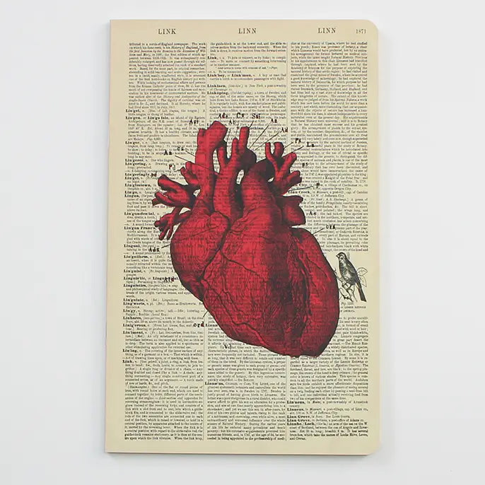 Anatomical Heart Notebook