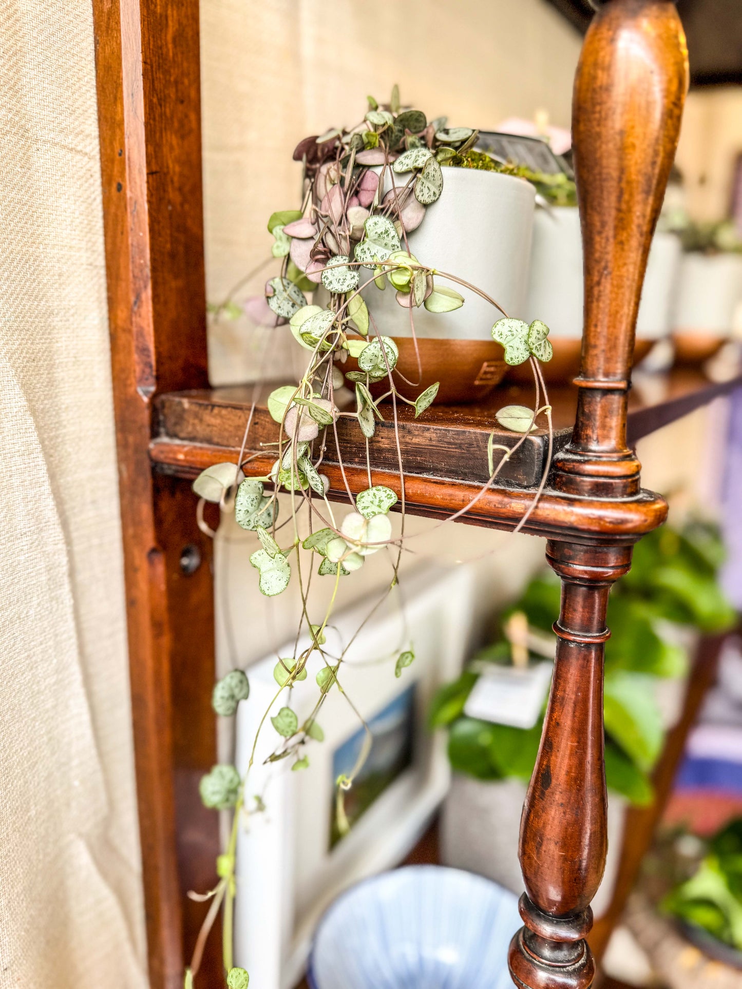 18th Century Mahogany Wall Shelf with Turned Supports 3