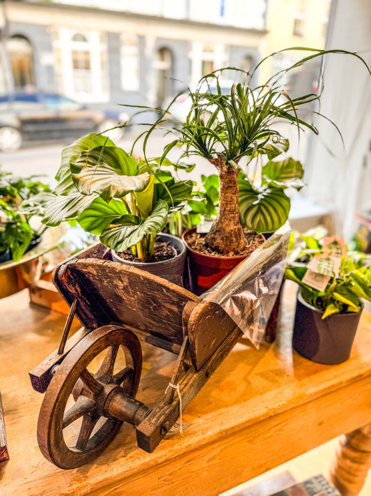20th Century Rustic Wooden Wheelbarrow Planter