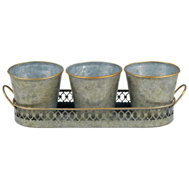 3-pot herb tray planter Acanthus Stone Wash Effect Watering Can