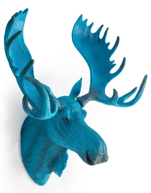 Electric Blue Moose  Mounted Wall Head