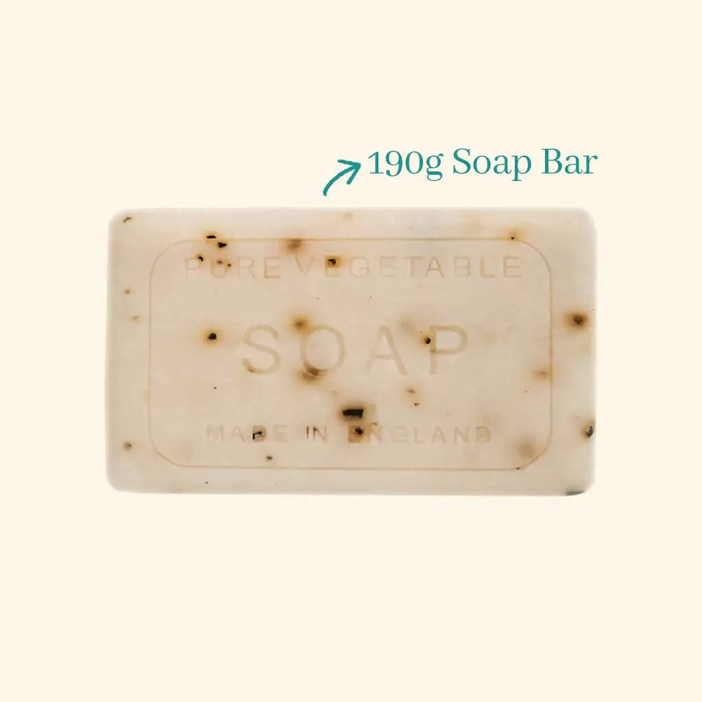 Anniversary Ocean Seaweed Soap#2