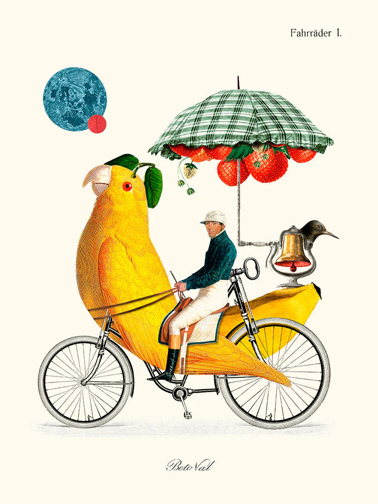 Bird Cycle Poster 30 x 40 cm