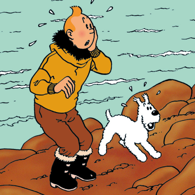 Tintin Book Cover Poster " L’ Etoile Mystérieuse Poster "