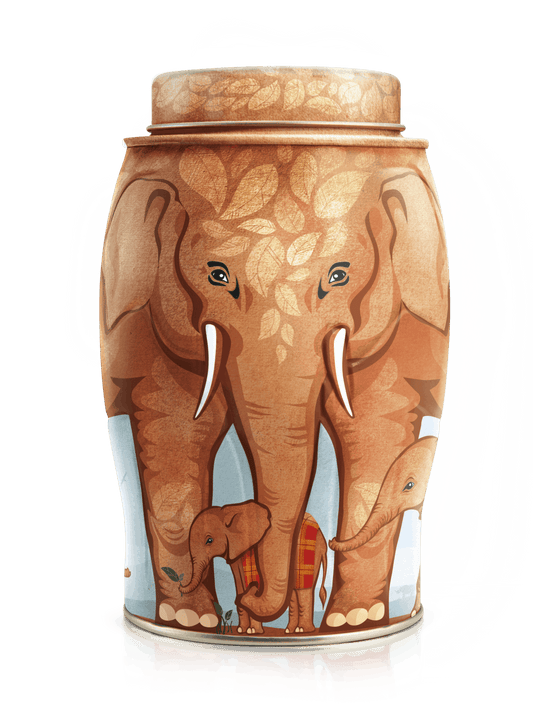 "Tsavo" Elephant Tea Caddy