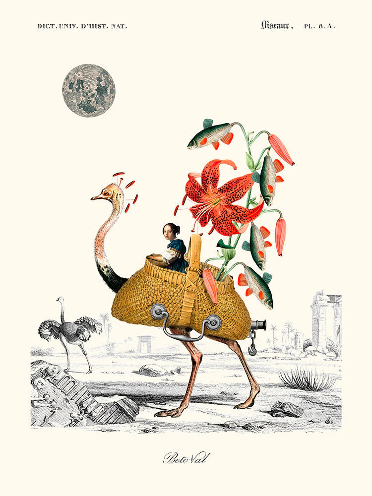 Princess Carriage Poster 30 x 40 cm1