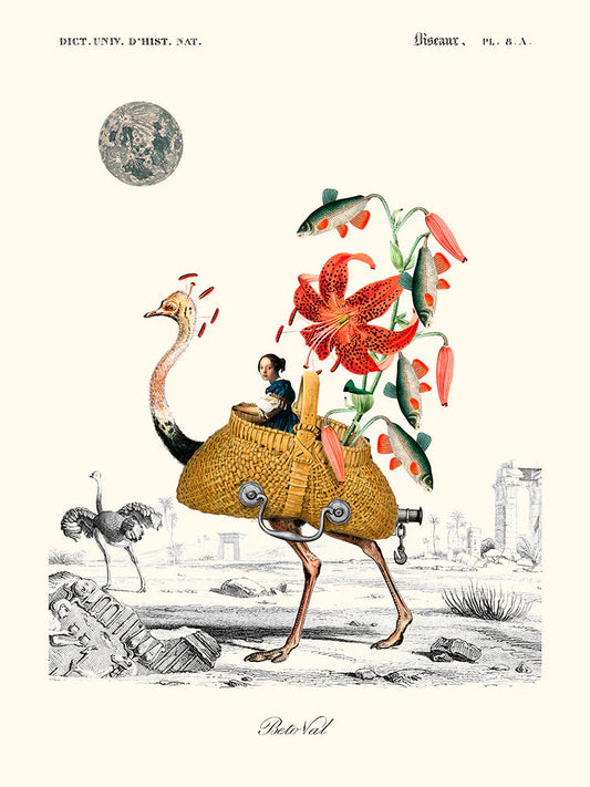 Princess Carriage Poster 30 x 40 cm1