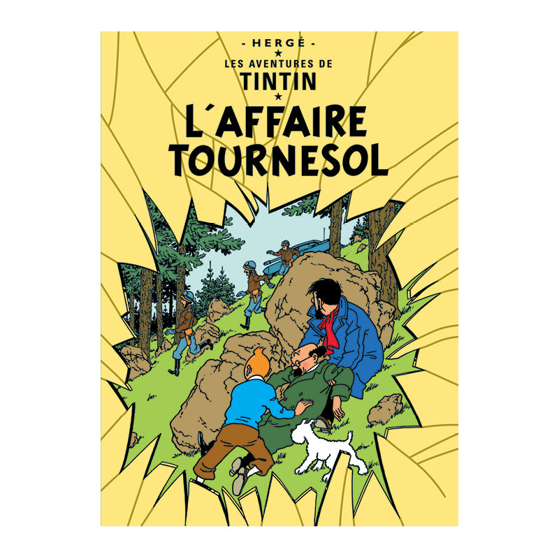 Tin Tin Book Covers Posters "L'Affaire Tournesol "