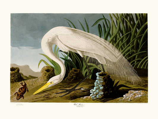 White Heron Poster — 30 x 40 cm