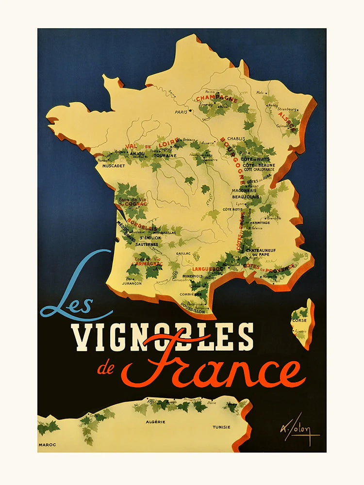 The Vineyards Of France Print 30 cm x 40 cm